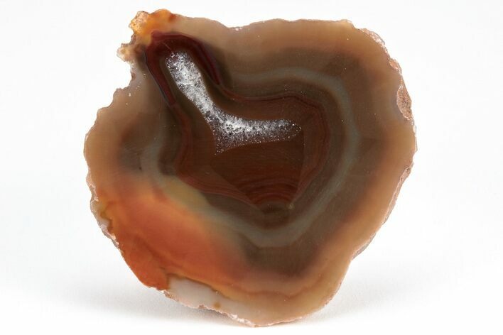 Colorful, Polished Condor Agate - Argentina #209604